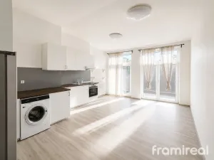 Pronájem bytu 3+kk, Brno, Gorkého, 106 m2