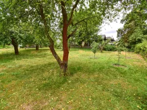 Prodej rodinného domu, Třemošná, Nové sídliště, 55 m2