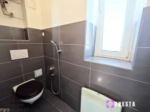 Pronájem bytu 2+kk, Tursko, Ke Statkům, 40 m2