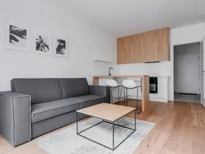 Pronájem bytu 1+kk, Praha - Karlín, Pernerova, 30 m2