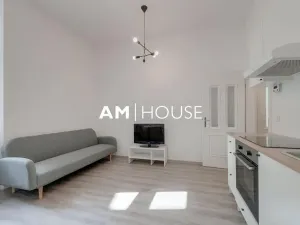 Prodej bytu 2+kk, Praha - Nové Město, Klimentská, 38 m2