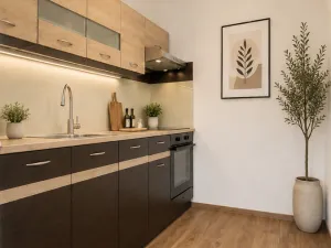 Pronájem bytu 2+kk, Kolín, Březinova, 32 m2