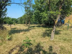 Prodej zahrady, Brno, 682 m2