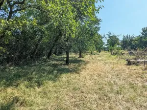 Prodej zahrady, Brno, 682 m2