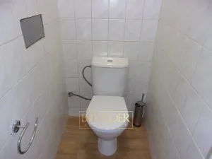 Pronájem bytu 3+kk, Teplice, Masarykova třída, 75 m2