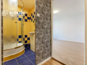 Prodej bytu 1+kk, Teplice, Hlávkova, 26 m2