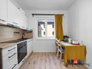 Pronájem bytu 1+1, Ostrava - Mariánské Hory, Cottonové, 37 m2