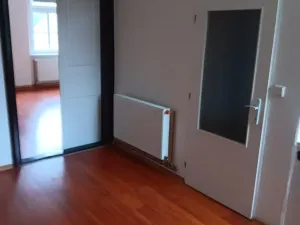 Pronájem bytu 1+1, Osek, Nelsonská, 56 m2