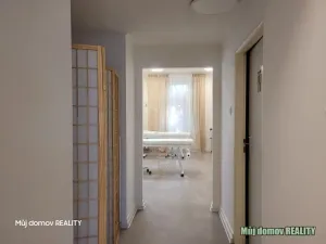 Pronájem obchodního prostoru, Praha - Vysočany, Freyova, 57 m2