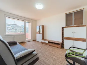 Prodej bytu 1+1, Cheb, Matěje Kopeckého, 36 m2