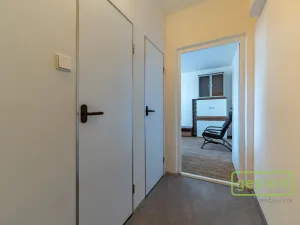 Prodej bytu 1+1, Cheb, Matěje Kopeckého, 36 m2