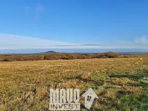 Prodej louky, Petrovice, 118619 m2