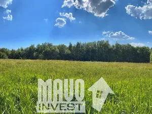 Prodej louky, Petrovice, 118619 m2
