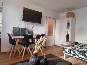 Pronájem bytu 1+kk, Pardubice - Polabiny, Brožíkova, 40 m2