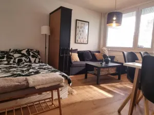 Pronájem bytu 1+kk, Pardubice - Polabiny, Brožíkova, 40 m2