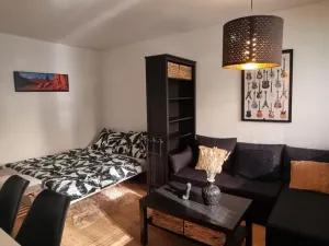 Pronájem bytu 1+kk, Pardubice - Polabiny, Brožíkova, 40 m2