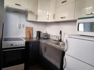 Pronájem bytu 1+kk, Pardubice - Polabiny, Brožíkova, 40 m2