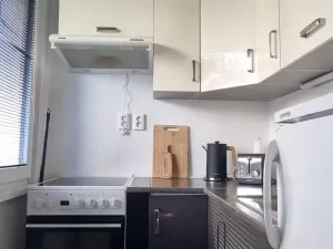 Pronájem bytu 1+kk, Pardubice - Polabiny, Brožíkova, 40 m2