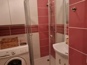 Pronájem bytu 1+kk, Pardubice - Polabiny, Brožíkova, 40 m2