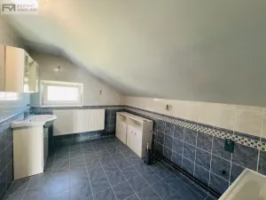 Pronájem rodinného domu, Palkovice, 200 m2