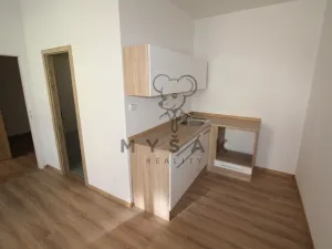Pronájem bytu 1+1, České Budějovice - České Budějovice 3, Riegrova, 38 m2