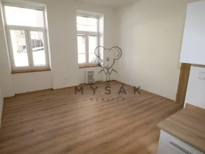Pronájem bytu 1+1, České Budějovice - České Budějovice 3, Riegrova, 38 m2