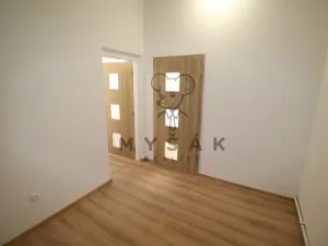 Pronájem bytu 1+1, České Budějovice - České Budějovice 3, Riegrova, 38 m2