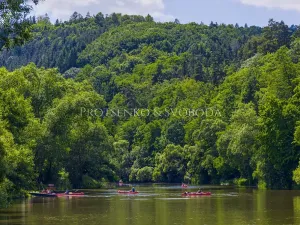 Prodej ubytování, Samopše, 642 m2