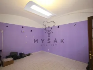 Pronájem obchodního prostoru, České Budějovice - České Budějovice 1, Krajinská, 20 m2