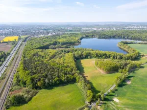 Prodej lesa, Srch - Pohránov, 12208 m2