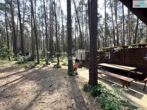 Prodej chaty, Doksy - Staré Splavy, Dalibora z Myšlína, 47 m2