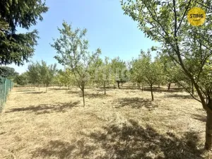 Prodej zahrady, Strážnice, 4652 m2