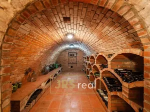 Prodej - jiné, Velké Bílovice, 76 m2