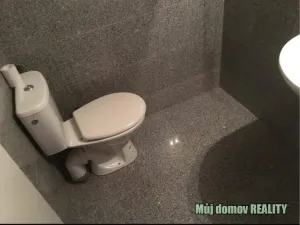 Pronájem bytu 1+kk, Praha - Vysočany, Freyova, 18 m2