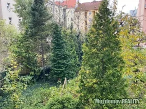 Pronájem bytu 1+kk, Praha - Vysočany, Freyova, 18 m2