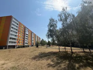Prodej bytu 2+kk, Most, Františka Malíka, 39 m2