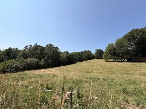 Prodej chaty, Zábřeh - Pivonín, 60 m2