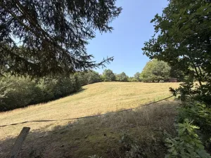 Prodej chaty, Zábřeh - Pivonín, 60 m2