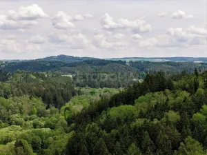 Prodej pozemku pro bydlení, Bezdružice, Úterská, 1250 m2