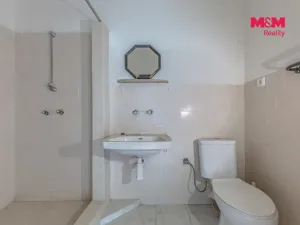 Prodej komerční nemovitosti, Plavy, 500 m2