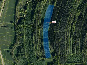 Dražba lesa, Ludkovice, 10351 m2