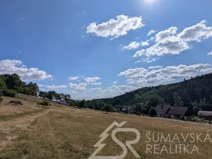Prodej pozemku, Petrovice u Sušice - Pařezí, 4773 m2