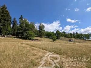 Prodej pozemku, Petrovice u Sušice - Pařezí, 4773 m2