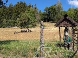 Prodej pozemku, Petrovice u Sušice - Pařezí, 4773 m2