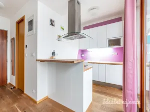 Pronájem bytu 1+kk, Praha - Vinohrady, Uruguayská, 47 m2