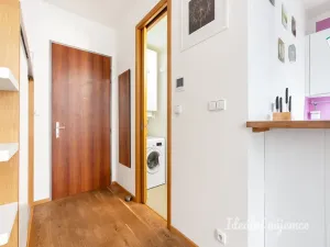 Pronájem bytu 1+kk, Praha - Vinohrady, Uruguayská, 47 m2