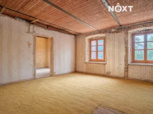 Prodej vícegeneračního domu, Lhenice, Netolická, 335 m2