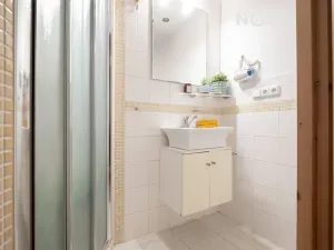 Prodej chalupy, Lhenice, Netolická, 335 m2
