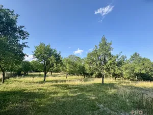 Prodej zemědělské usedlosti, Vanovice, 450 m2