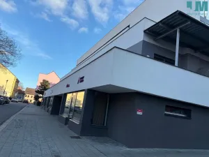 Pronájem bytu 2+kk, Třebíč, Soukopova, 69 m2